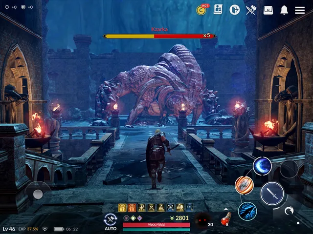 Black Desert Mobile · A closer look 9
