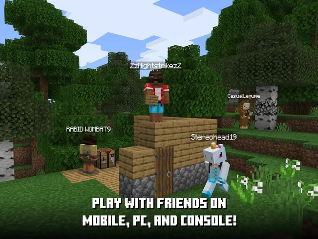 Minecraft · A closer look 9
